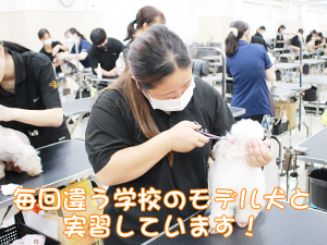 １年生、今日もがんばっています！